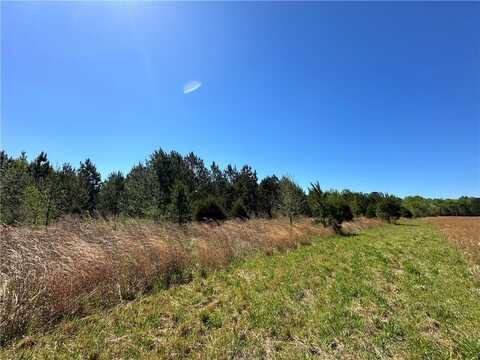 Lot J2 Seaboard Lane, Hatchechubbee, AL 36858