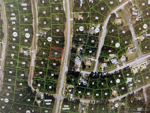 7868 N Elkcam Boulevard, Citrus Springs, FL 34433