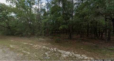 194 E Falcon Street, Dunnellon, FL 34434