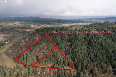 NW Williams Canyon RD, Gaston, OR 97119