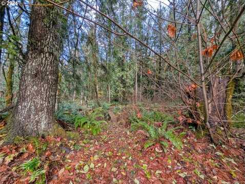 67197 E BARLOW TRAIL RD, Rhododendron, OR 97049