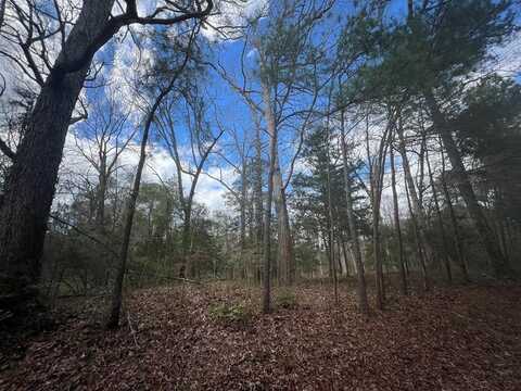 LOT 3A HARBOUR LN, EASTVILLE, VA 23310