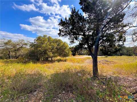 653 Hillclimb, Canyon Lake, TX 78133