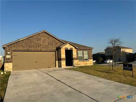 13732 Charles W Fairbanks Cove, Manor, TX 78653