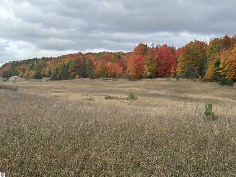 40 Acres S Schomberg, Lake Leelanau, MI 49621