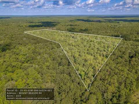 Mount Beasor Road, Sopchoppy, FL 32358