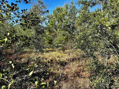 Vacant NE River Trace Trail, Lee, FL 32059