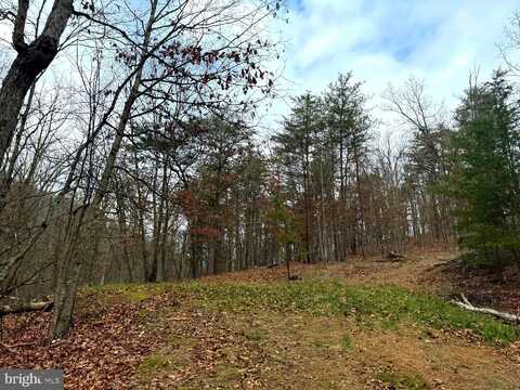 6 BEAVER RUN ROAD, BURLINGTON, WV 26710