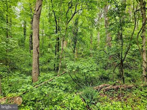 HENRY GARNETT AVENUE, AQUASCO, MD 20608