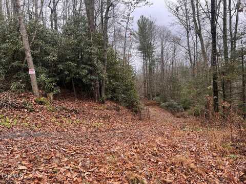 162 Murph Potter Lane, Roan Mountain, TN 37687