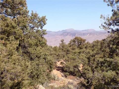 Lot 170 Trap Springs, Hackberry, AZ 86411