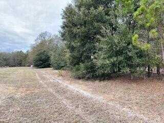 7.8 Acres Deerstand Road, Wagener, SC 29164