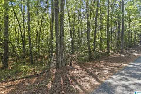 00 GRANDVIEW DRIVE, NORTHPORT, AL 35475