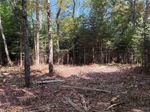 Lot #1 Beaver Trail, Boonville, NY 13301