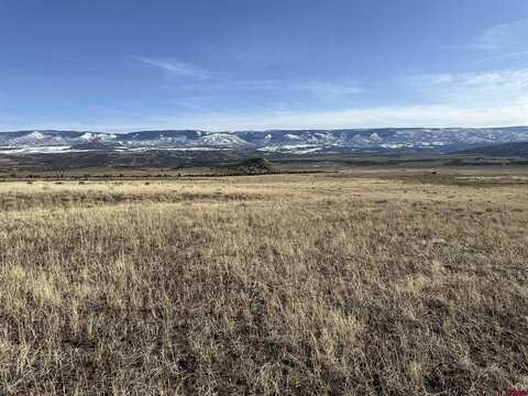 TBD V Road, Collbran, CO 81624