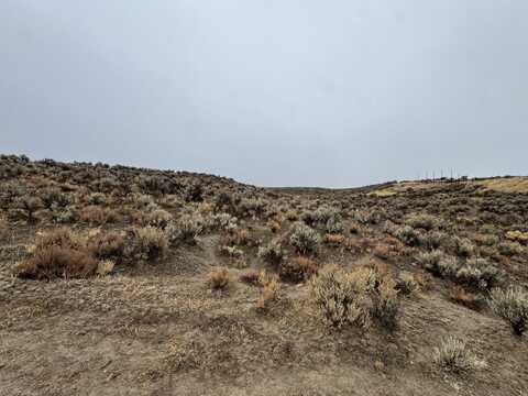 Rattlesnake Street, Elko, NV 89801