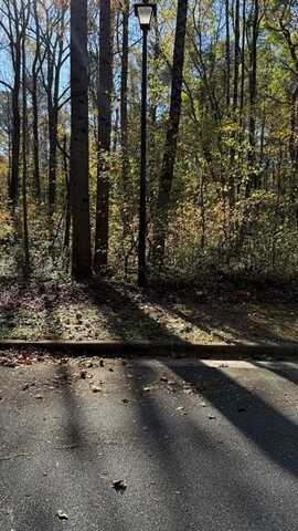 Lot 15 Fairview Springs Drive, Ellenwood, GA 30284