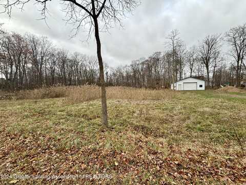 0 Thornapple, Perrinton, MI 48871