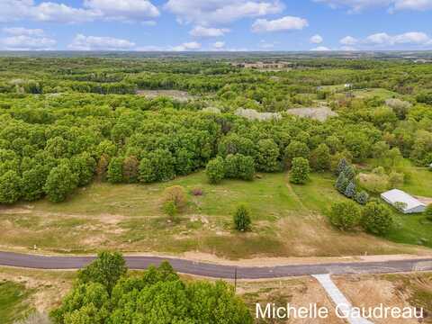 Parcel 9 Leaf Lane, Freeport, MI 49325