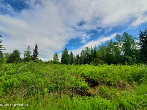 35050 North Fork Road, Anchor Point, AK 99556