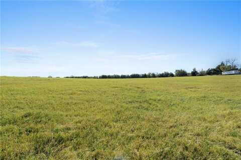 5.9 Ac Farm to Market 1940, Franklin, TX 77856