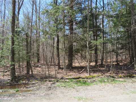 Lot 15.1 Ward Loomis Road, Oxford, NY 13830