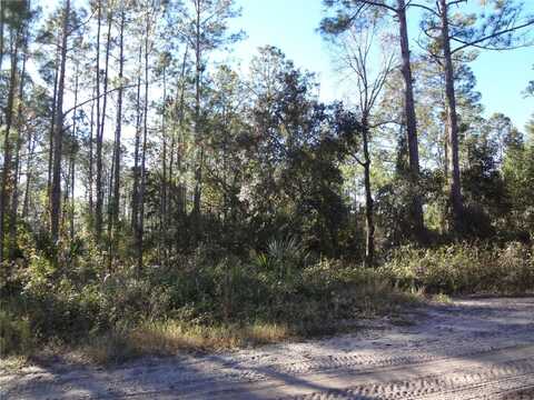 PROPERTY LOCATION IS NOT AVAIL, DELAND, FL 32724