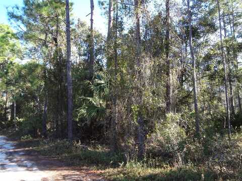 12TH AVENUE, DELAND, FL 32724
