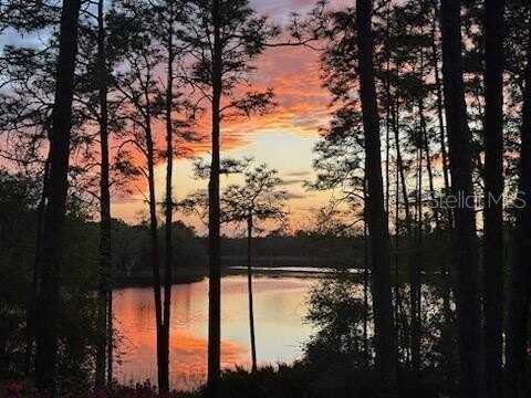 14830 SE 61ST STREET ROAD, OCKLAWAHA, FL 32179