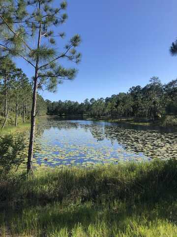 1521 Dune Lake Trail, Panama City Beach, FL 32413