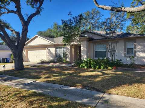 10452 ASHLEY OAKS DRIVE, RIVERVIEW, FL 33578