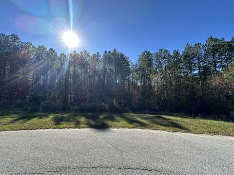 1229 EDGE Lane, Tignall, GA 30668