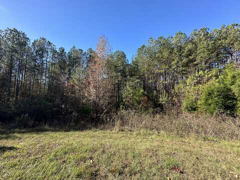 1223 EDGE Lane, Tignall, GA 30668