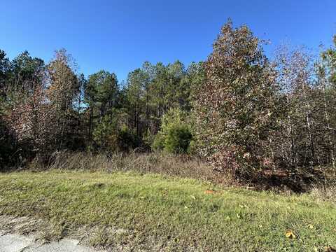 1217 EDGE Lane, Tignall, GA 30668