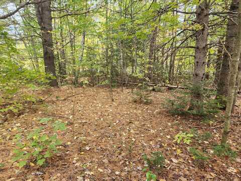 Lot #82 Seboeis Road, Seboeis Plt, ME 04448