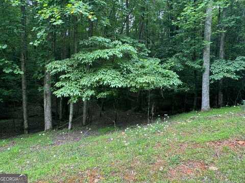 Lot 1721 Newport, Ellijay, GA 30540