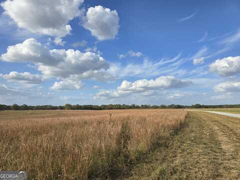 16 Hay Field, Cochran, GA 31014