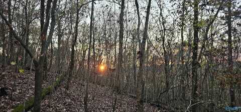 8 +/- Acres Browns Valley Road, Guntersville, AL 35976