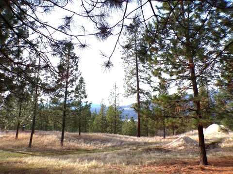 1349 LAKE ROOSEVELT WAY, KETTLE FALLS, WA 99141