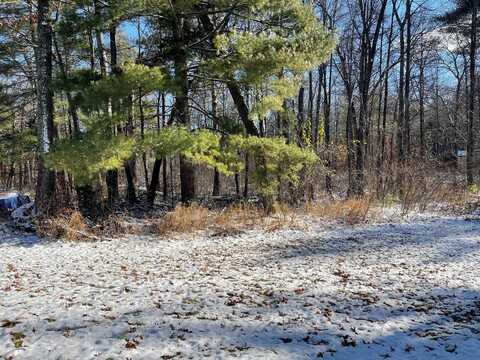 2669 White Pine Lane, Scandia Valley Township, MN 56466