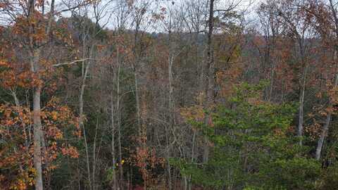 Lot #67 Shawnee Run, Rogers, KY 41365