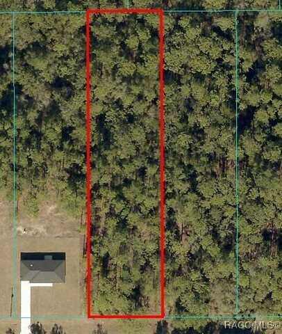 0 SW 54th Street, Dunnellon, FL 34431