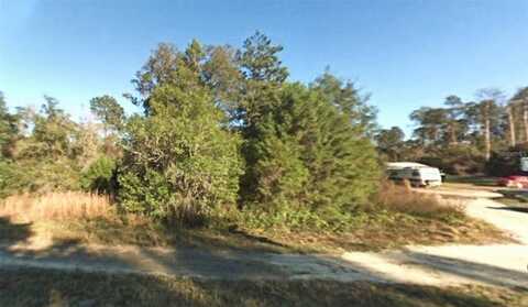 00 NE 235 PLACE, FORT MC COY, FL 32134
