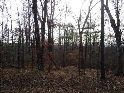 Lot #1 INDEPENDENCE (29 9/16 Ave) Avenue, Birchwood, WI 54817