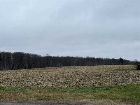 Lot 1 County Hwy D, Sarona, WI 54870