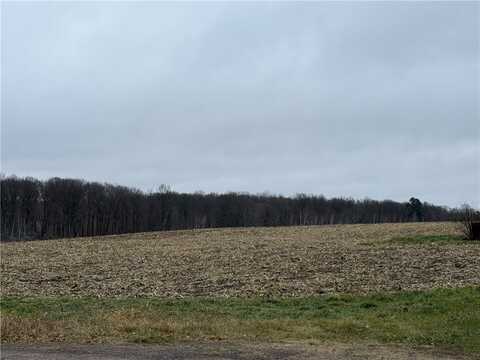 County Highway D lot: 1, Sarona, WI 54870