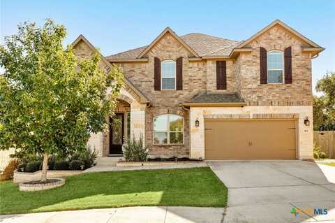 461 Scenic Lullaby, Spring Branch, TX 78070