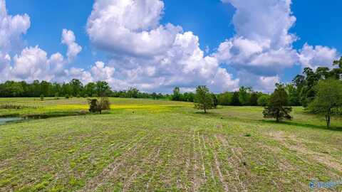 22 Acres County Road 318, Dawson, AL 35963