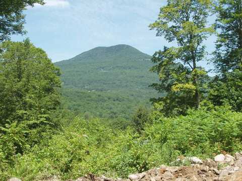 00 Finbar's Forest Road, Manchester, VT 05255