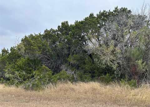 33029 Woodcrest Drive, Whitney, TX 76692